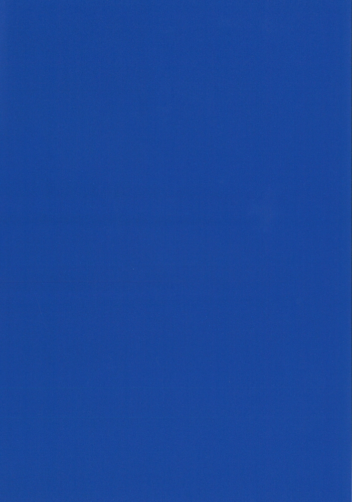Blu Elettrico